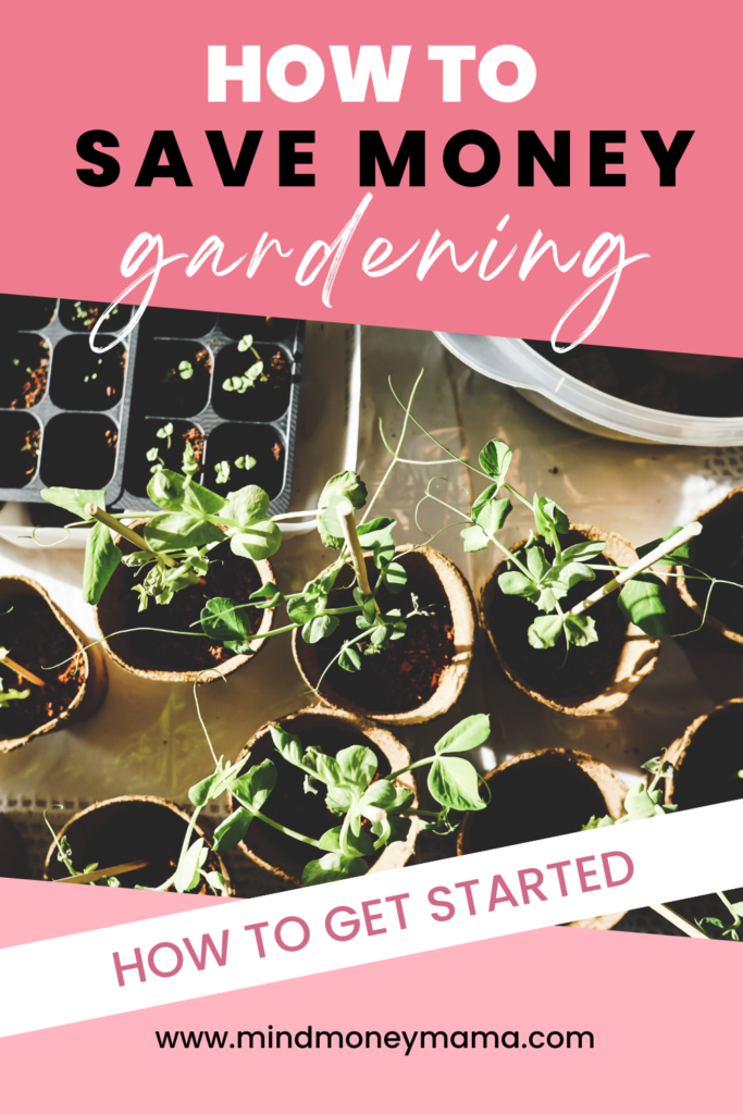 How to Plant a Garden to Save Money - Mind Money Mama